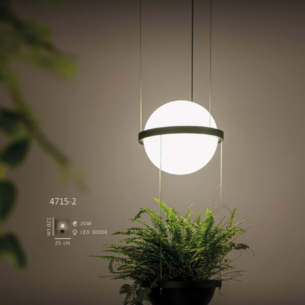 Halka Detaylı Küresel Sarkıt ve Askılı Saksı Kombinasyonu